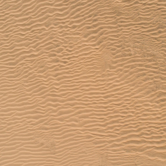 Jockey's Ridge